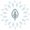 BLOSSOMTHEME NEWSLETTER
